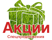 Акции и спецпредложения